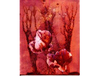 Barcelona Rose by Candace Greenburg (painting)