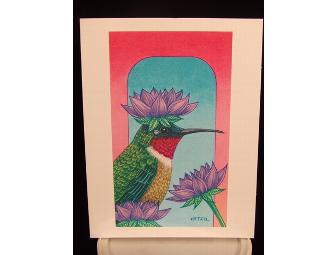 Birdfeeder Starter Kit from the Wild Bird Store