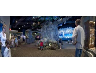 4 tickets to the Mini-Time Machine Museum (Family Fun Pack)