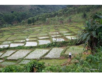 2 Spots on the Dragon's Trail Guided Bike Tour, Vietnam