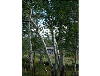 Deluxe Tabeguache Backcountry Biking Trip for 2