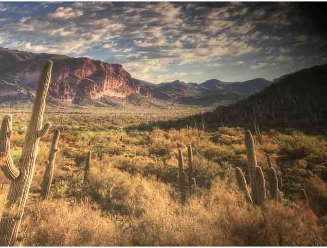 36 x 24 Canvas Picture of Desert Landscape in Arizona - Photo 2