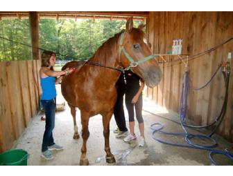 Give your child the classic summer camp experience at Camp Birch Hill