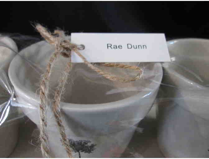 Herb Garden Starter Kit