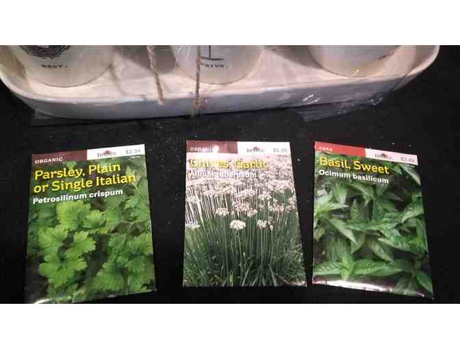 Herb Garden Starter Kit