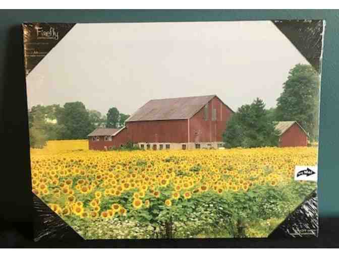 Country Decor Pictures