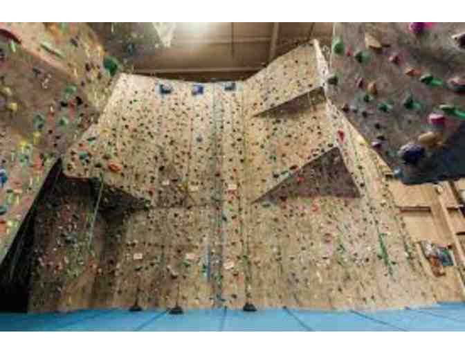 The Cliffs Climbing & Fitness - Five Day Passes