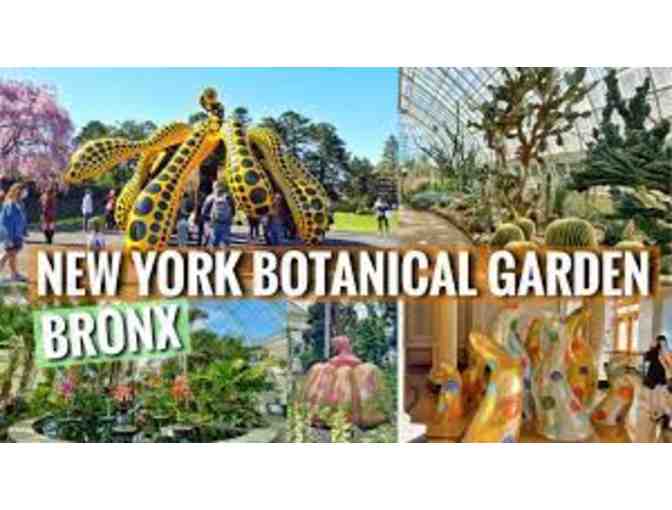 NY Botanical Gardens Visit with Mrs. Feldbaum - One winner and 3 friends