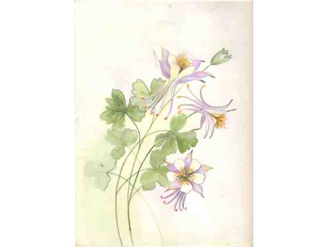 6 Early Botanical Original Watercolors (1920's) By Bertha Cunningham
