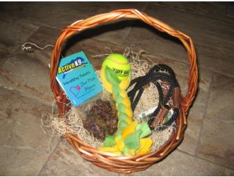 2 In-Home Dog Training/Obedience Lessons, Training Leash, Toys and Treats by Active K9