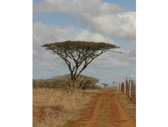 Photo Safari for 2 in South Africa with Zulu Nyala