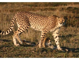 Photo Safari for 2 in South Africa with Zulu Nyala