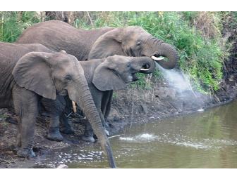 Photo Safari for 2 in South Africa with Zulu Nyala