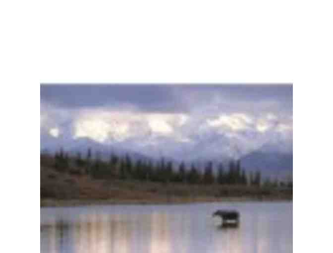 7-Day Cruise for Two to Alaska, the Caribbean, Mexico, or New England/Canada