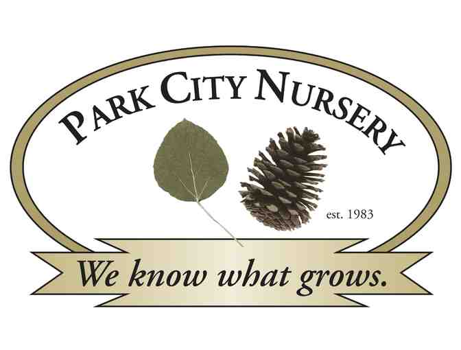 Wheel Barrow filled with Kids Gardening Fun!