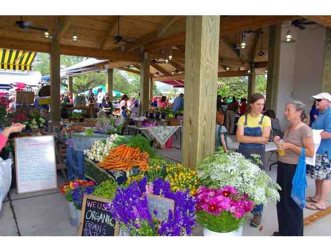 Beautiful, Historic CHARLESTON, South Carolina! One Weekend Stay
