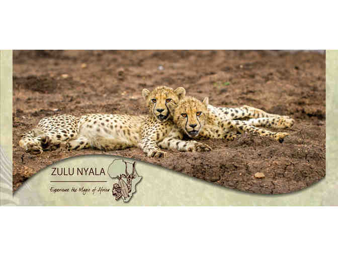 Zulu Nyala - South African Photo Safari for Two