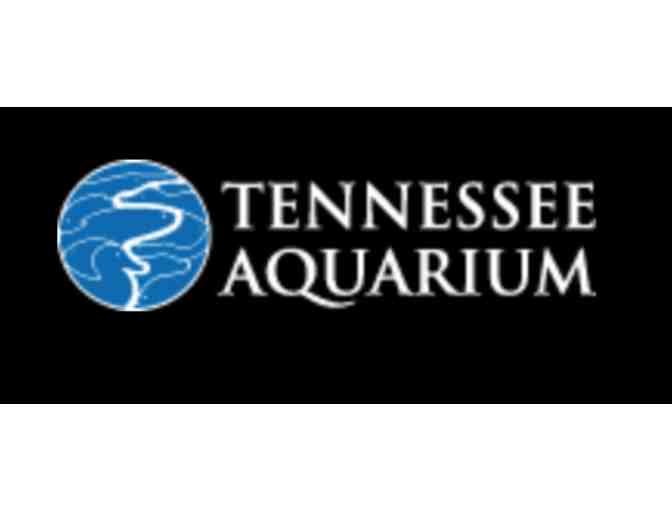 Tennessee Aquarium + Lupi's Pizza + Ice Cream