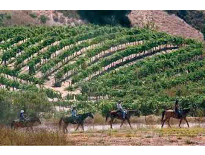 Cooper- Garrod Estate Vineyards- Tour and Tasting for TEN