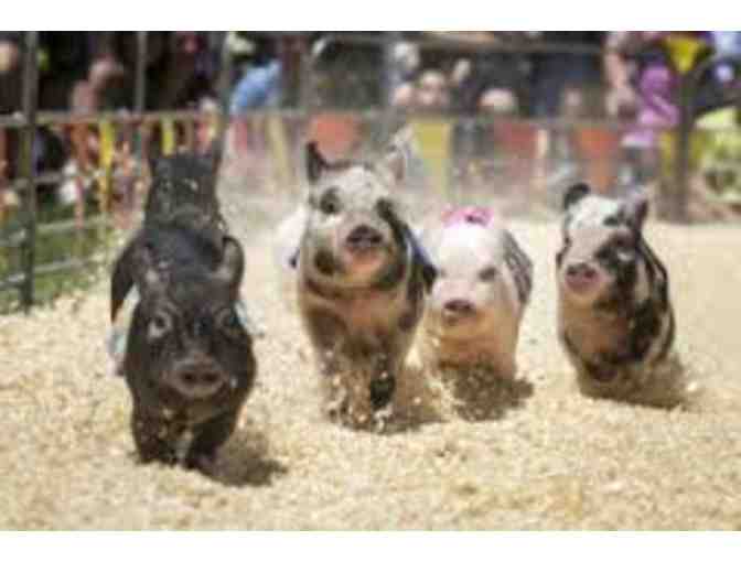 San Mateo County Fair - FOUR Admissions Tickets