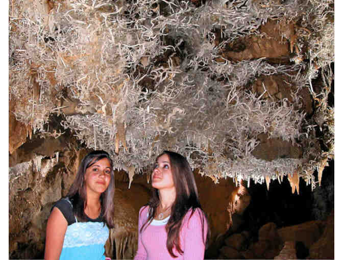 Tour Black Chasm Cavern - Family Pass