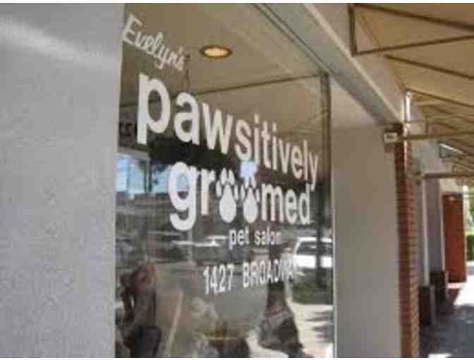 Pawsitively Groomed Pet Salon - $75 Gift Certificate