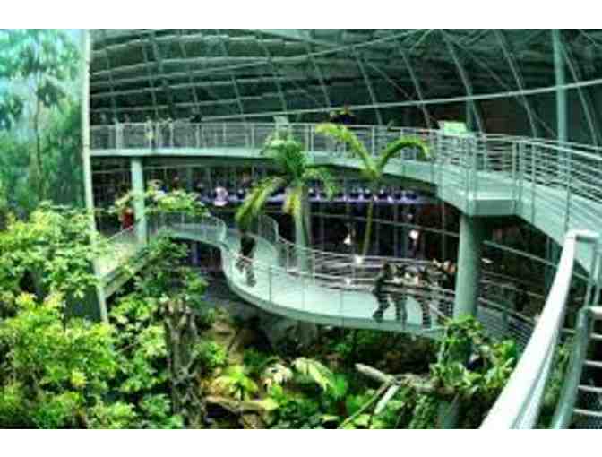 California Academy of Sciences - FOUR Tickets