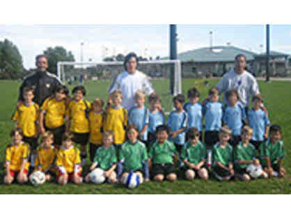 Premier Soccer Clinics and Camps - ONE Week of 2019 Summer Camp