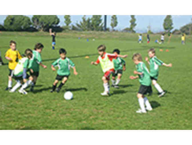 Premier Soccer Clinics and Camps - ONE Week of 2019 Summer Camp
