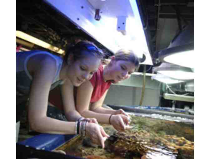 6 Passes to a Behind the Scenes Tour at the New England Acquarium