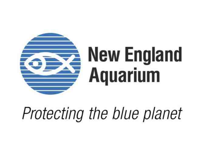 1 Pair of Tickets - New England Aquarium