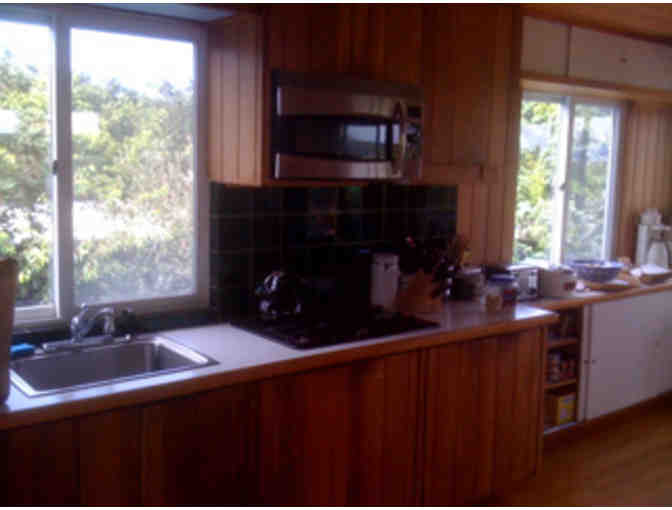 Long Weekend on Fire Island - 4 bedroom house in the Pines