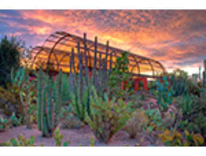 Family Membership at the Desert Botanical Garden