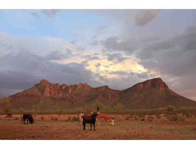 Weekend at the Award-Winning White Stallion Guest Ranch near Tucson