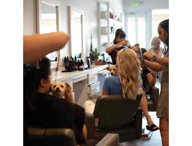 Touch Up Your Tresses at Root Bar