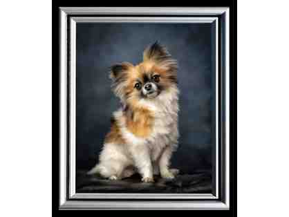 In-Studio Dog Portrait by Siena-Arte