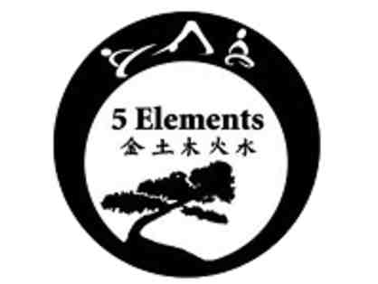 Learn Kung Fu & Tai Chi with 5 Elements Kung Fu