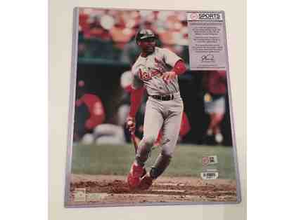 Ozzie Smith St. Louis Cardinals Autographed Photograph