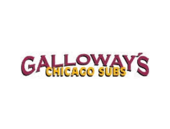 Brookfield Zoo (6 Passes) & $60 Galloway Subs GC'S
