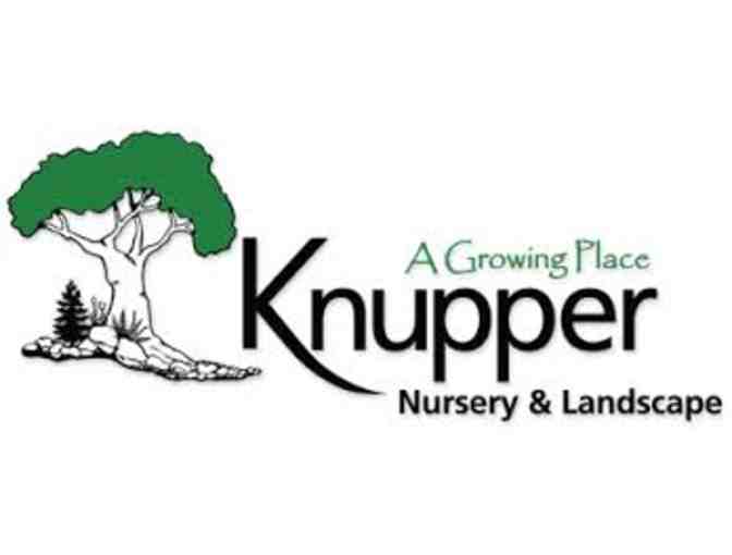 Knupper Nursery & Landscape - $100 GC & Xmas Tree Topper