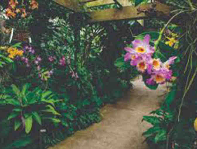 Two Tickets to Marie Selby Botanical Gardens