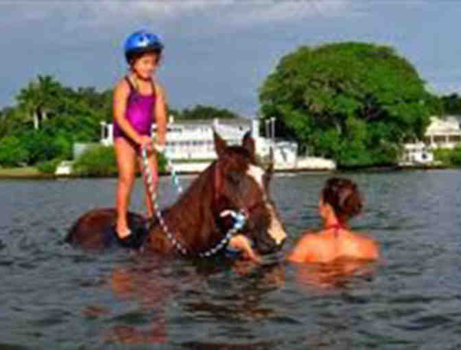 Experience the Dream of Riding a Beach Horse