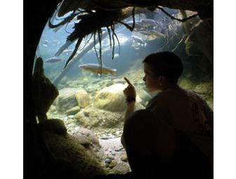 Turtle Bay Exploration Park - Family Membership
