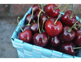 Exclusive Portrait Session Includes All Photos on CD!