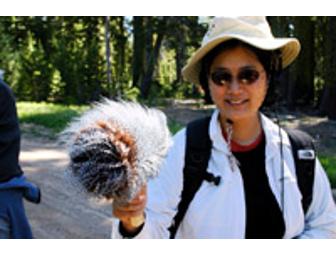 3-Day All-Inclusive Sierra Nevada Adventure includes Field Recording Workshop