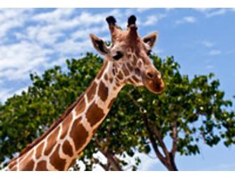 2 General Admission Tickets to the San Francisco Zoo