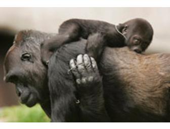 2 General Admission Tickets to the San Francisco Zoo