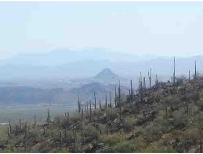 The Gallery- Marana, Arizona