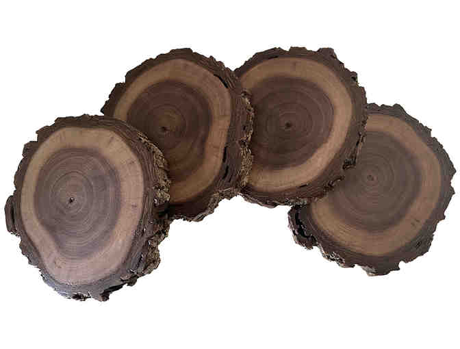 Black Walnut Coasters - Set of Four (1 of 3)
