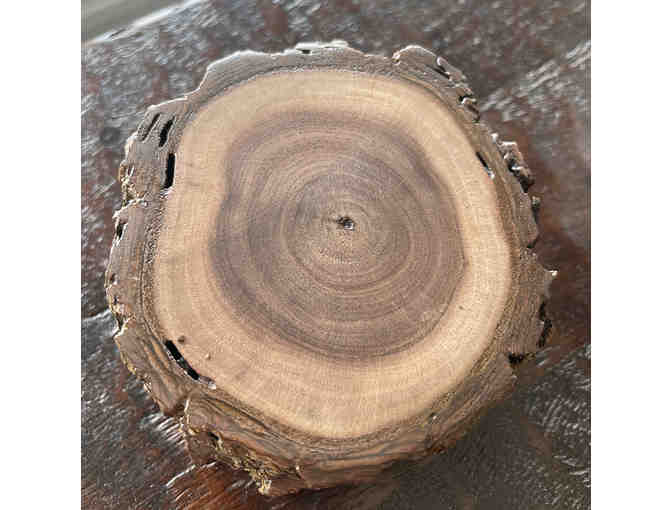 Black Walnut Coasters - Set of Four (2 of 3)